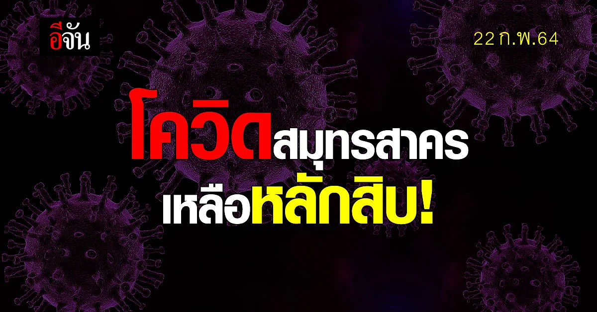 ลดลงต่อเนื่อง! สธ.สมุทรสาคร ยืนยันข้อมูล 22 ก.พ. 64 สมุทรสาคร ติดโควิด เพิ่ม 33 คน