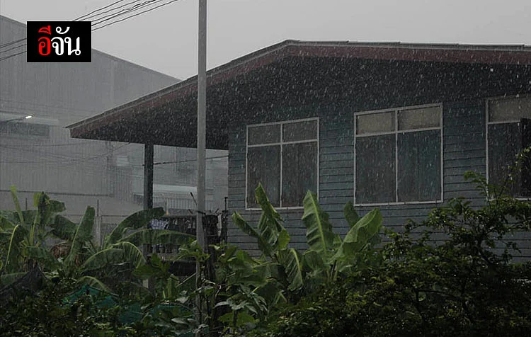 ฝนตก