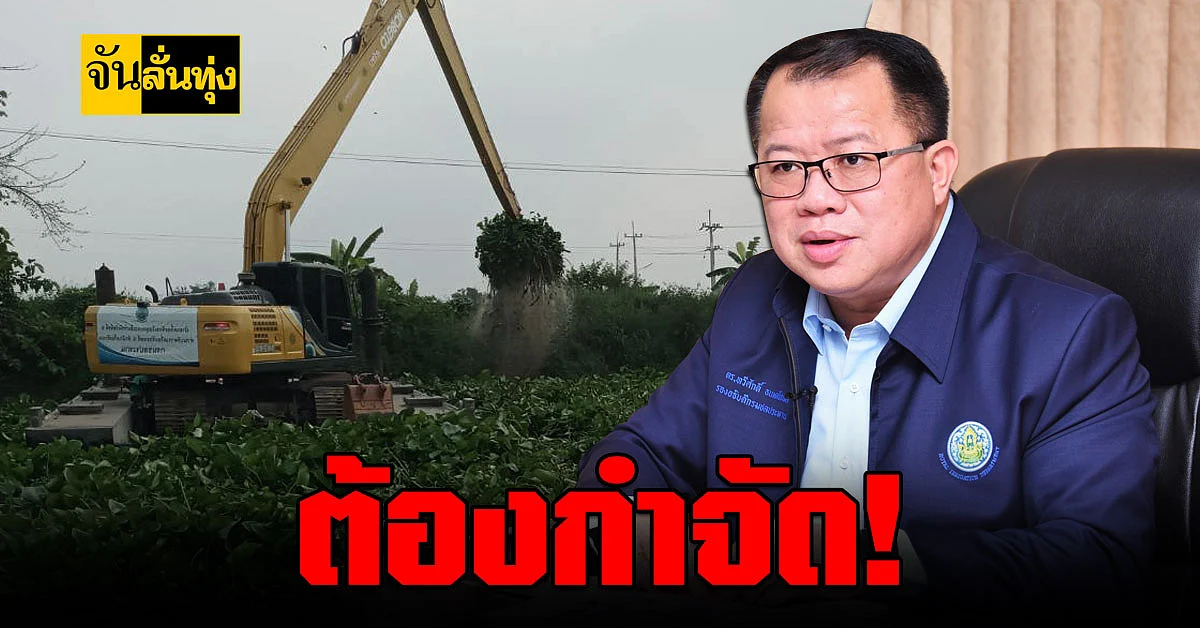 กรมชลฯเร่ง กำจัดผัก ตบชวาหลังพบ 7 ล้านตัน
