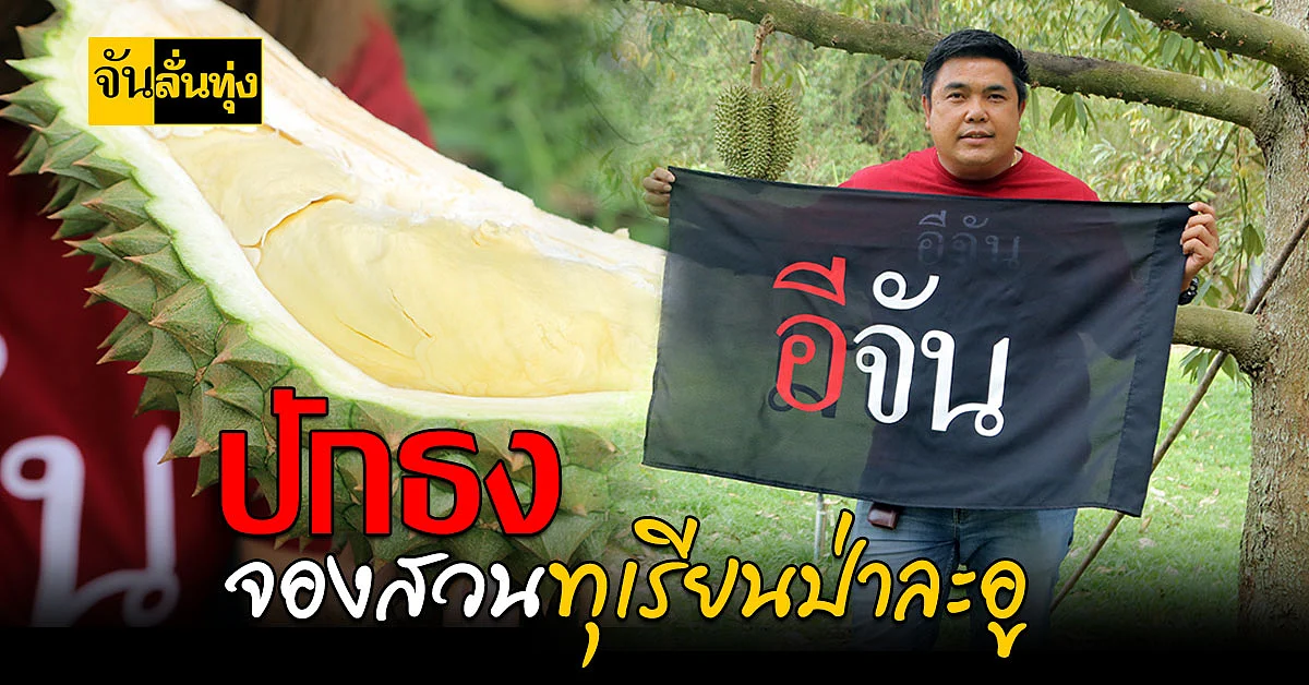 อร่อยละเมอ ทุเรียนป่าละอู