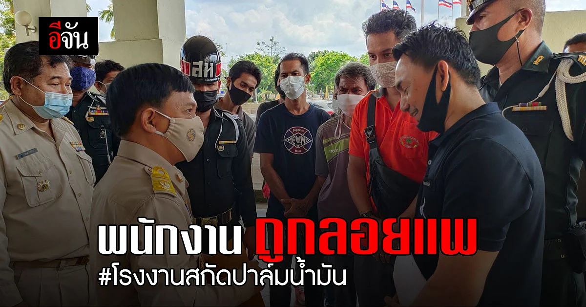 พนักงาน โรงงานสกัดปาล์มน้ำมัน กระบี่ ถูกลอยแพ กว่า 300 ราย