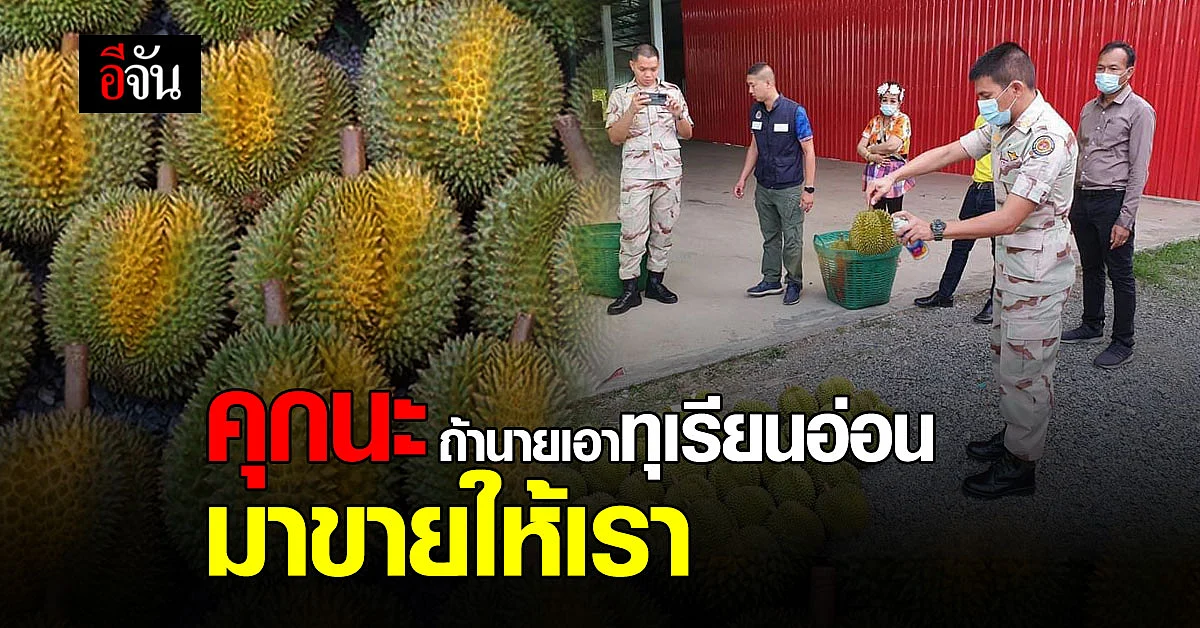 ล้งไหน หลอกขายทุเรียนอ่อน เตรียมตัวเข้าคุก และเตรียมค่าปรับให้พร้อม