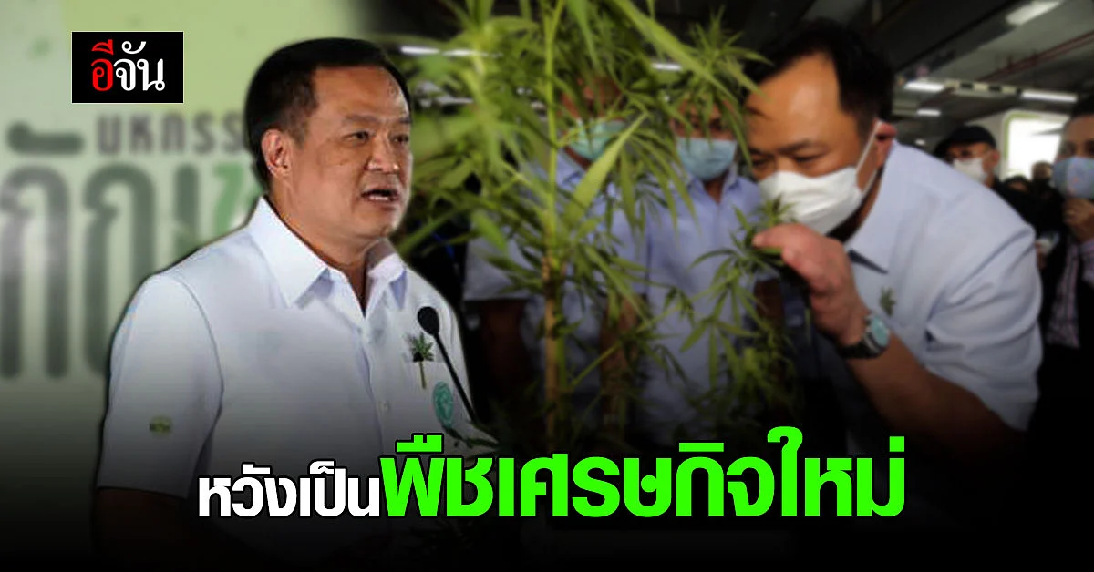 อนุทิน เปิดงานมหกรรมกัญชา กัญชง 360 องศา หวังเป็นพืชเศรษกิจใหม่