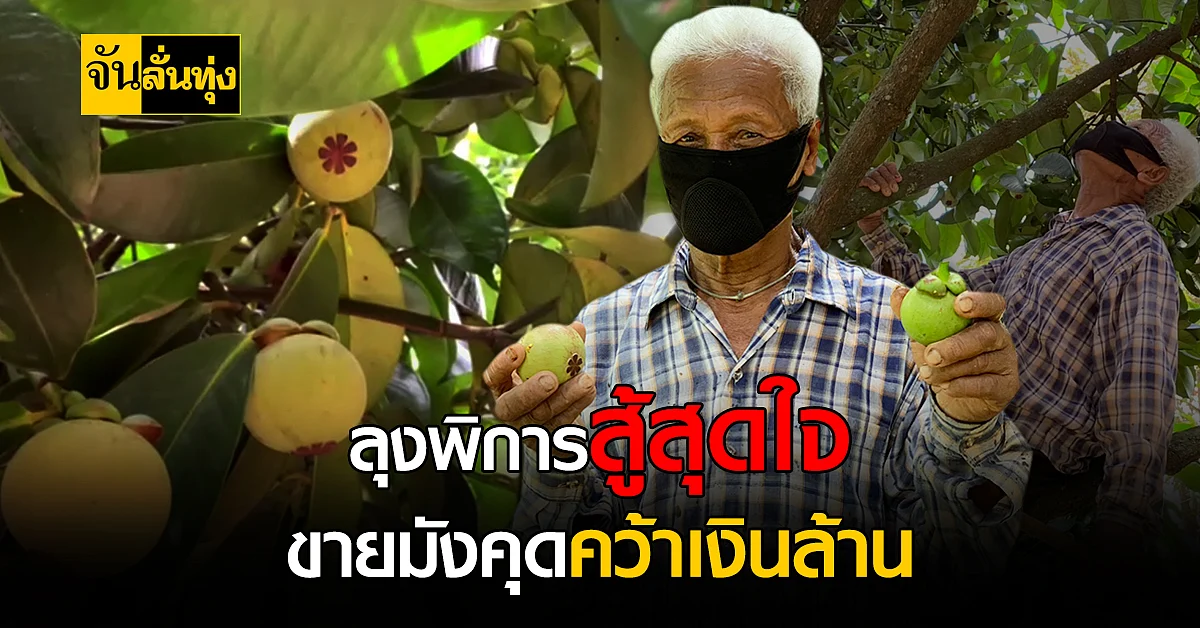 พ่อเฒ่าพิการขอสู้สุดใจ ปลูก มังคุด สร้างตัวจนเป็นเศรษฐี