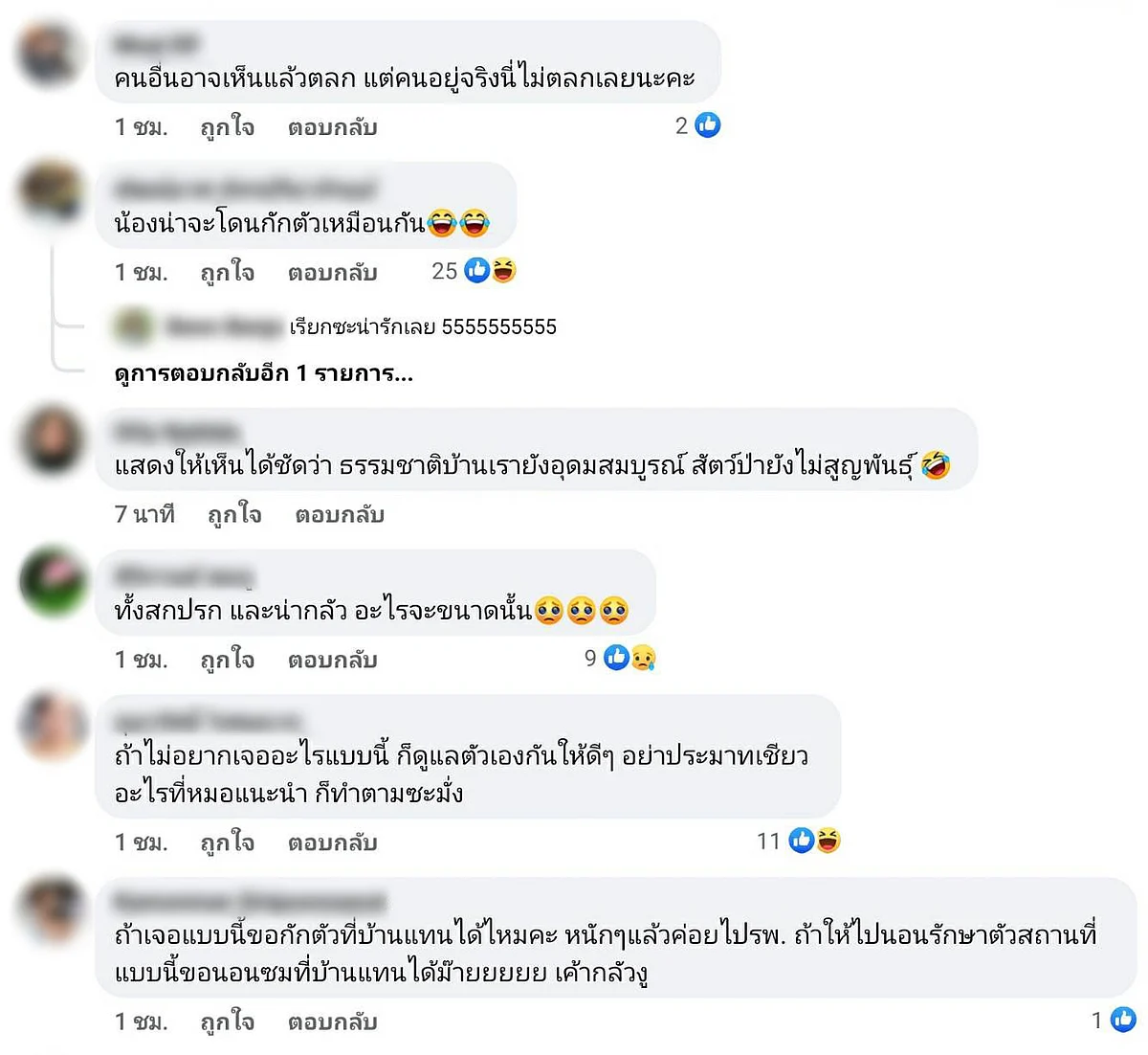 ข้อความแสดงความคิดเห็น