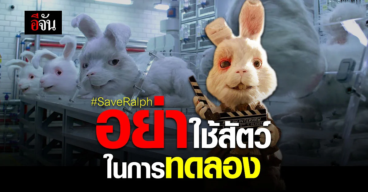 โซเชียลไม่ทน ติดแฮชแท็ก #SaveRalph แบนสินค้าที่ ใช้สัตว์ ในการ ทดลอง