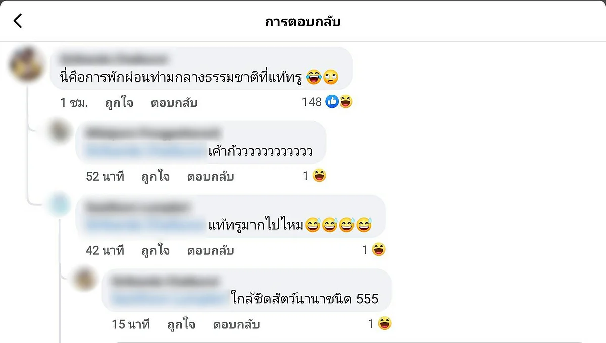 ข้อความแสดงความคิดเห็น