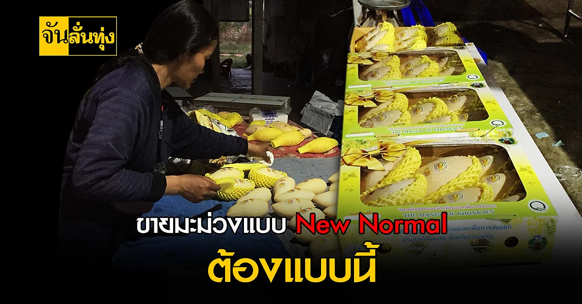 วิสาหกิจชุมชนบ้านแฮด ขายมะม่วงออนไลน์ สร้างรายได้