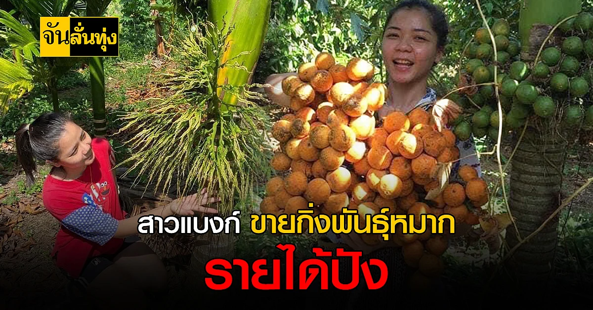 สาวแบงก์จบป.โท ขายกิ่งพันธุ์หมาก คู่งานประจำ