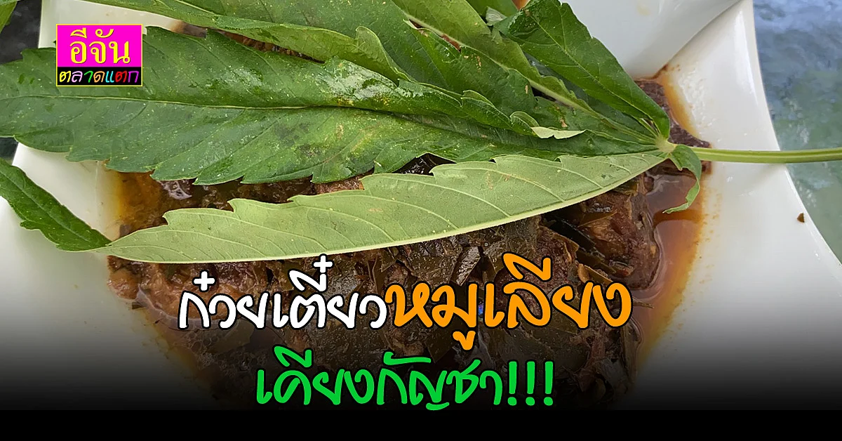 ก๋วยเตี๋ยวหมูเลียงใส่ กัญชา เด็ดสุดย่านเมืองจันท์