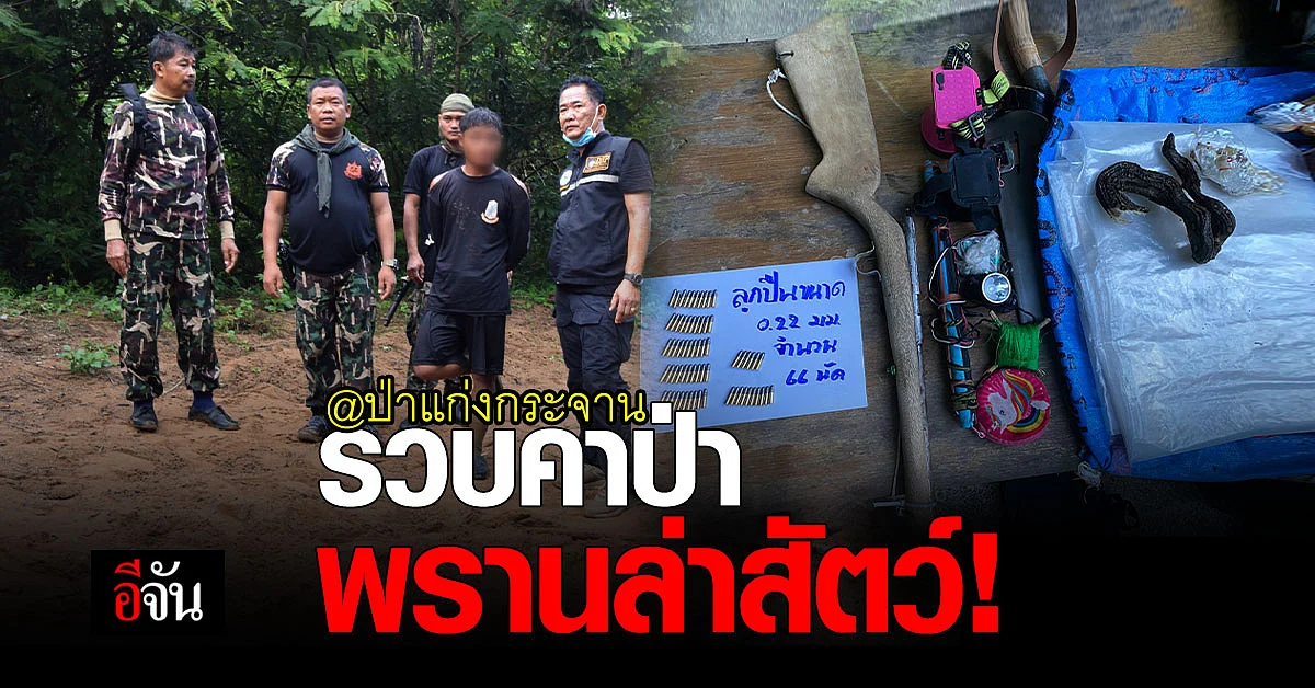 ชุดลาดตระเวน SMART Patrol รวบทันควัน พรานล่าสัตว์ ป่าแก่งกระจาน