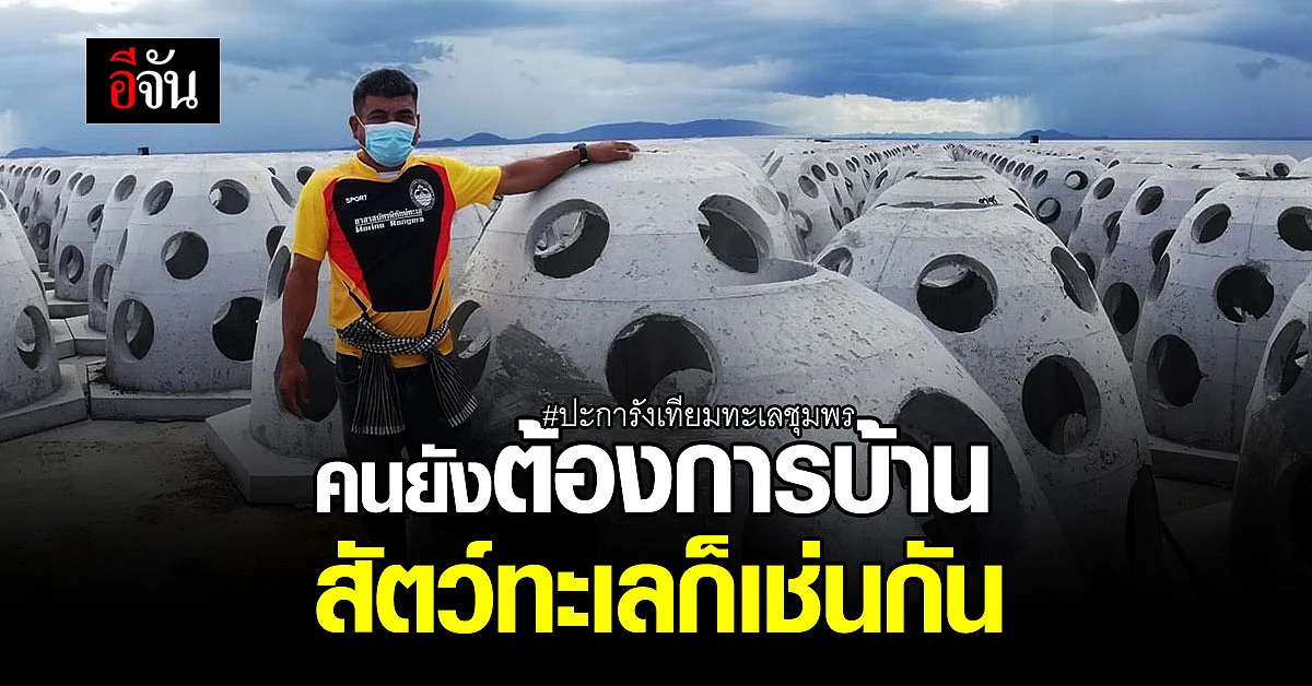 ชุมพร วางปะการังเทียม อนุบาลสัตว์น้ำในทะเล อ.ปะทิว