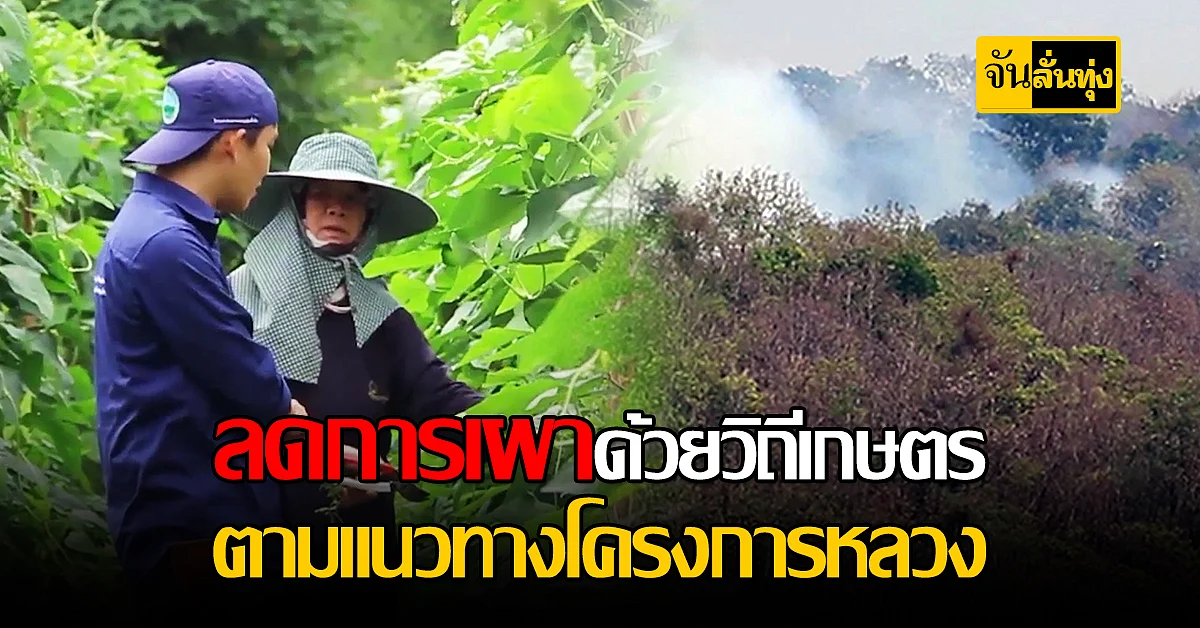 ชุมชนแม่จริม ใช้ โครงการหลวง ลดการเผาแก้ปัญหามลภาวะ