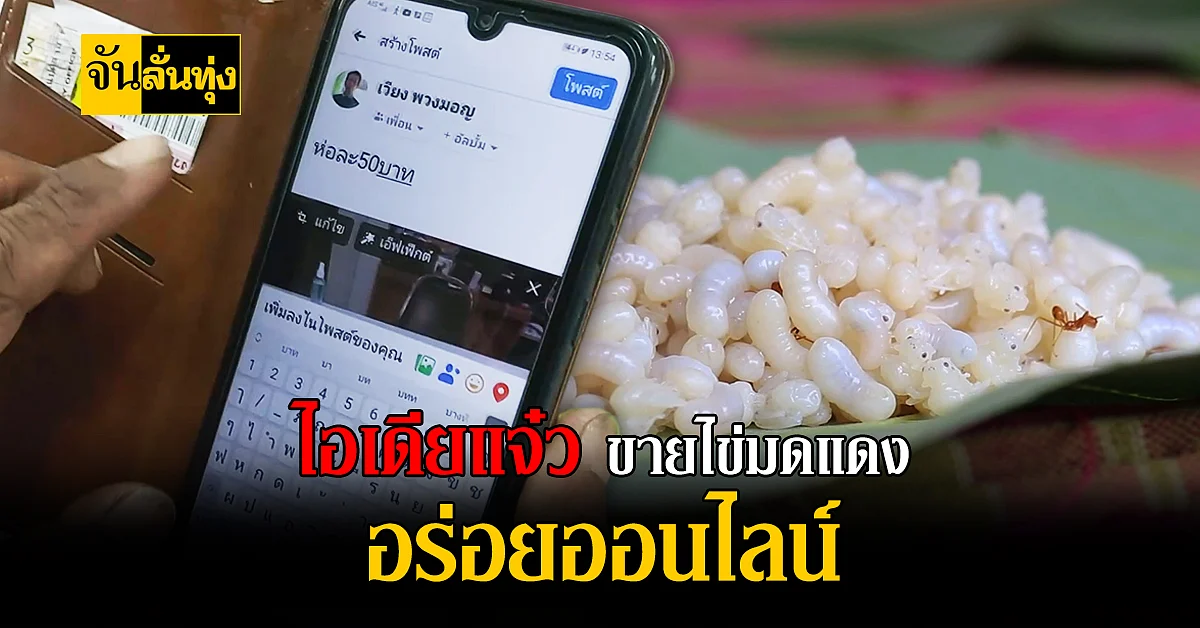 ชาวบ้านอุดรธานี โพสต์ ขายไข่มดแดงออนไลน์ สร้างรายได้ ช่วงโควิด