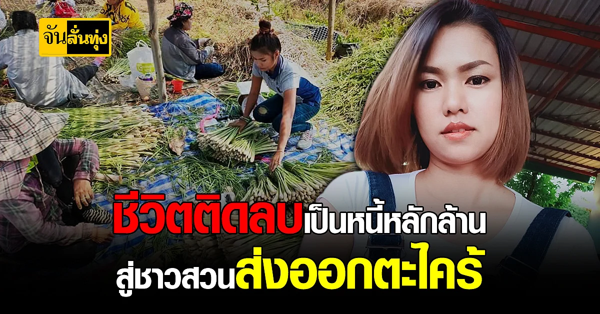 สาวสุโขทัย พลิกวิกฤตเป็นโอกาส ส่งออกตะไคร้ สร้างรายได้