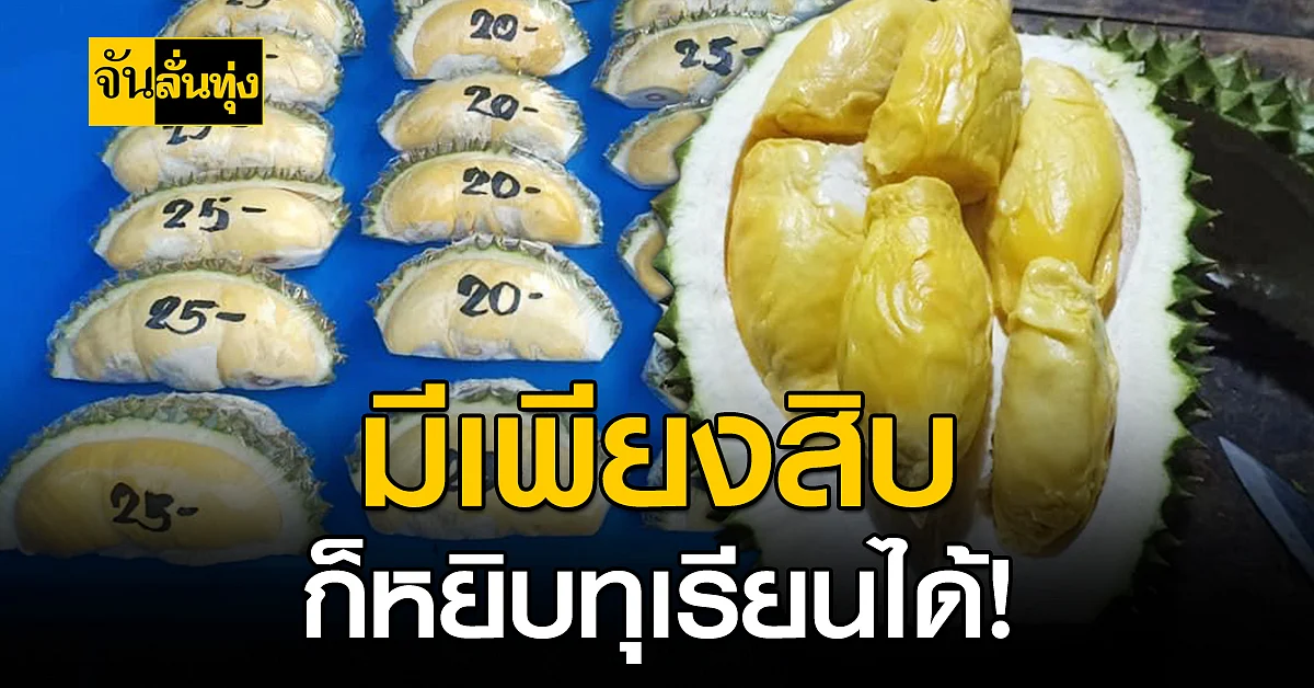 พ่อค้า ทุเรียน โคราชจัดให้ ใคร ๆ ก็กินทุเรียนได้ จ่ายเพียงสิบ หยิบทุเรียนไปกินเลย