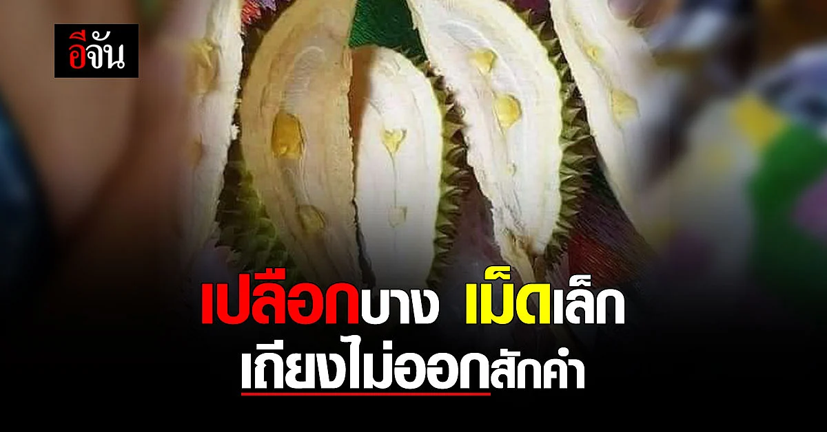 หนุ่มช้ำใจ ซื้อทุเรียน เจ้าของร้านเคลม เปลือกบาง เม็ดเล็ก แกะมาตรงสเปคทุกอย่าง
