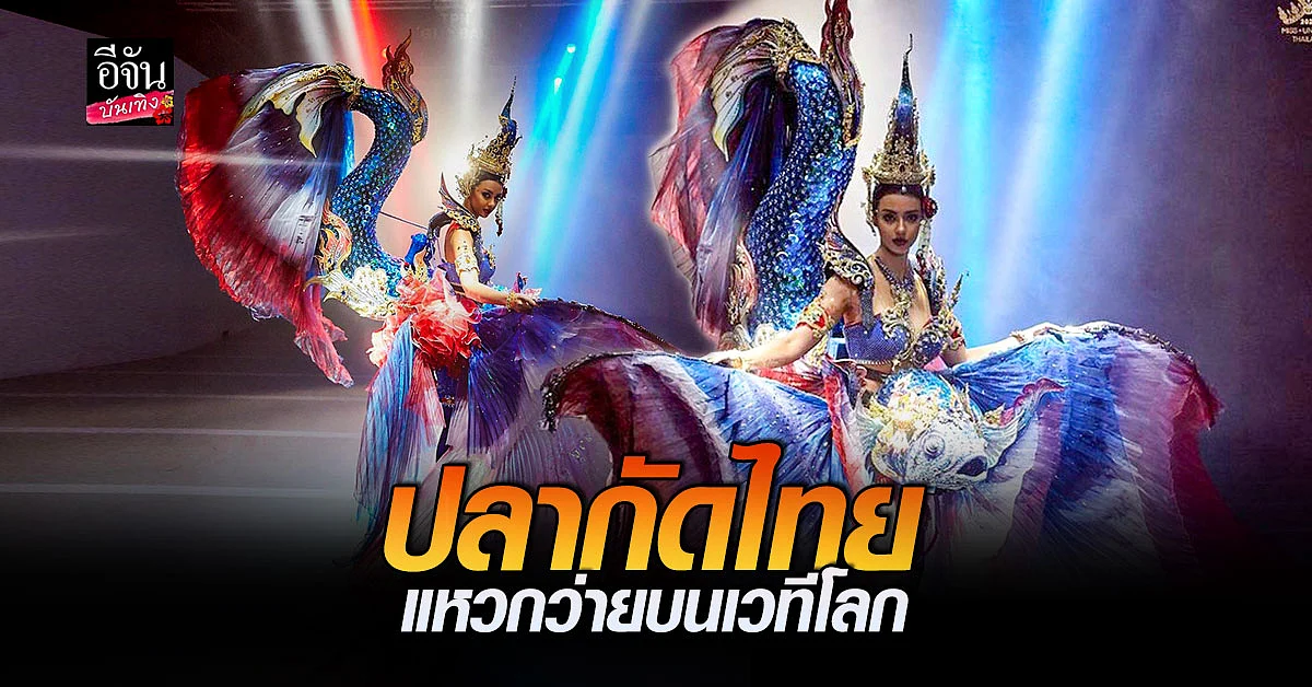 อแมนด้า เตรียมใส่ ชุดปลากัดไทยแหวกว่ายบนเวทีโลก