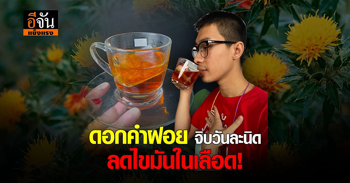 ดอกคำฝอย กินดี ช่วยลดไขมันในเลือด