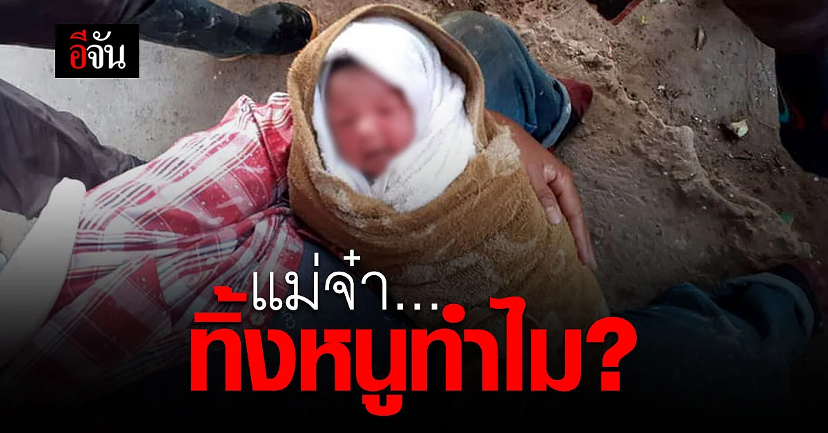 บีบหัวใจ! สาวโพสต์ ทารกน้อย ถูกทิ้งในป่า มดรุมกัด