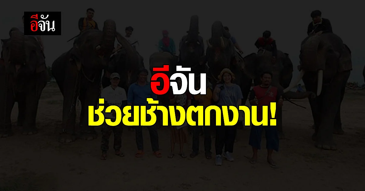 อีจันช่วยช้างตกงาน จากพิษโควิด 120 เชือก ระเวลา 12 เดือน