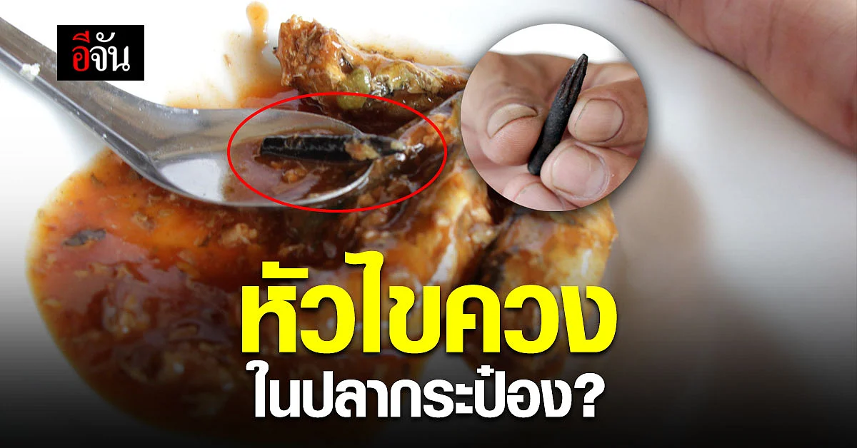 หนุ่มใหญ่ เปิดปลากระป๋อง ผงะเจอหัวไขควง ฝากผู้ผลิตใส่ใจความสะอาด