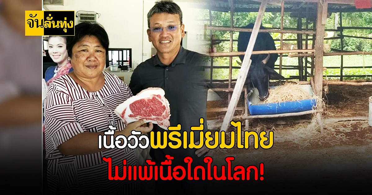 กองทุน FTA อัดงบ ดัน เนื้อวัวพรีเมี่ยม สุรินทร์ วากิว - โกเบ ตีตลาดไทย ขยายไปตลาดโลก