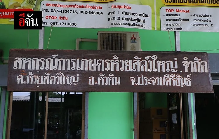 สหกรณ์กสนเกษตรห้วยสัตว์ใหญ่