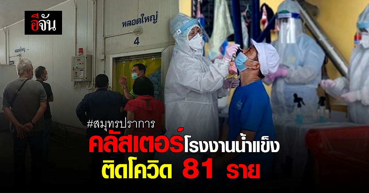 คลัสเตอร์โรงงานผลิตน้ำแข็ง ย่านบางพลี ติดเชื้อโควิด 81 ราย - สธ. สั่งปิดโรงงาน