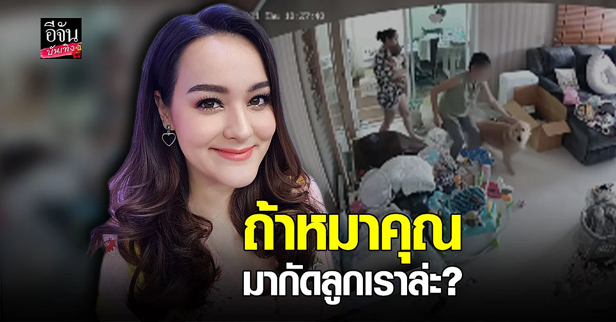 นาตาลี อึ้ง หมา เพื่อนบ้าน ไล่กวดแมว ถึงในบ้าน ซัด คิดจะเลี้ยง ต้องดูแลได้