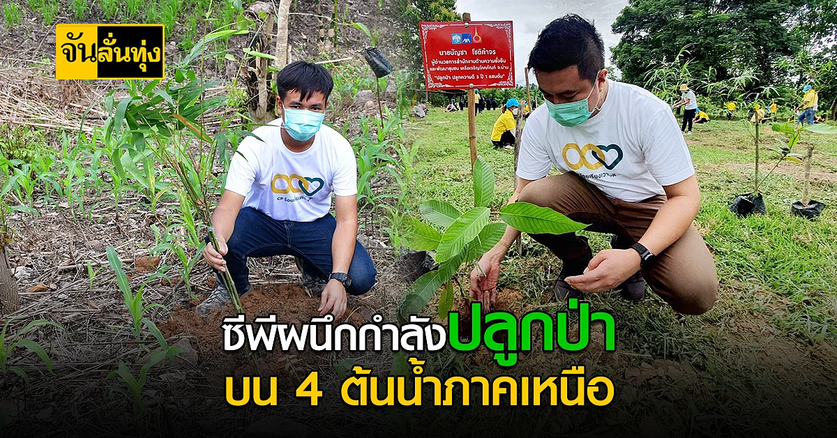 ซีพี ผนึกกำลัง เร่งปลูกป่าบน 4 ต้นน้ำภาคเหนือ