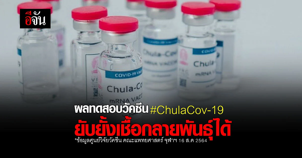 จุฬาฯ เผย ผลทดสอบ วัคซีน ChulaCov-19 ระยะแรก ยับยั้งเชื้อกลายพันธุ์ได้