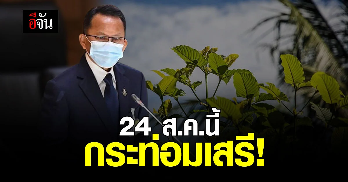 กระท่อมเสรี! 24 ส.ค.นี้ ปลูก-ซื้อ-ขายได้ เว้นผสมยาเสพติด