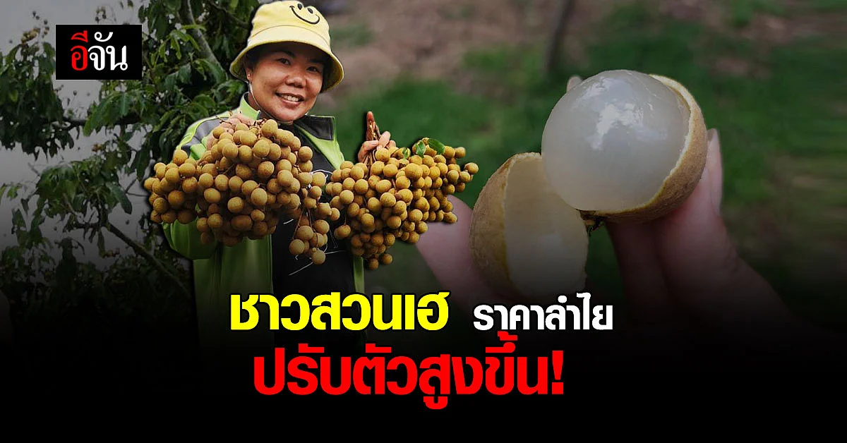 ชาวสวยลำไยยิ้ม ราคาลำไย มีเเนวโน้มปรับตัวสูงขึ้น