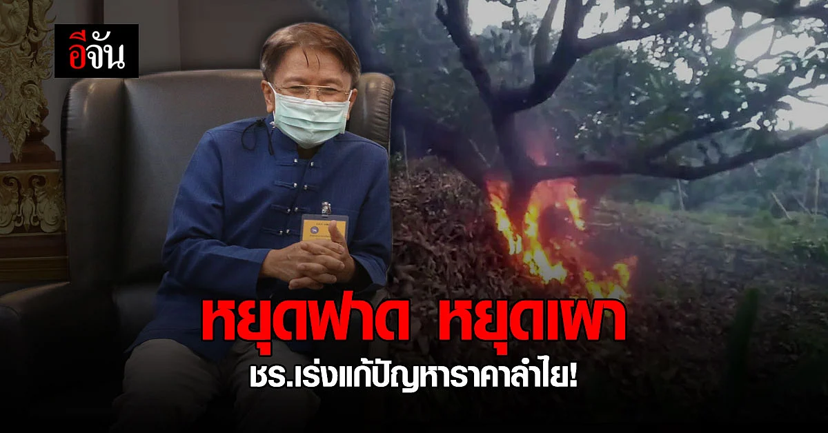 เชียงรายไม่ทน จับมือ เอกชน ร่วมเอกชน แก้ปัญหา ราคาลำไยตกต่ำ