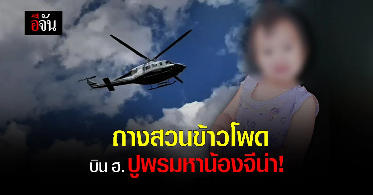 ตำรวจเปลี่ยนเเผน ค้นหาน้องจีน่า ถางสวนข้าวโพด บิน ฮ.
