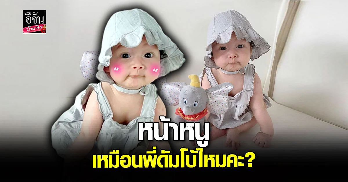 พี่ๆขา... คุณพ่อเขาว่าหนู นาตาชา หน้าเหมือน ดัมโบ้ ค่ะ
