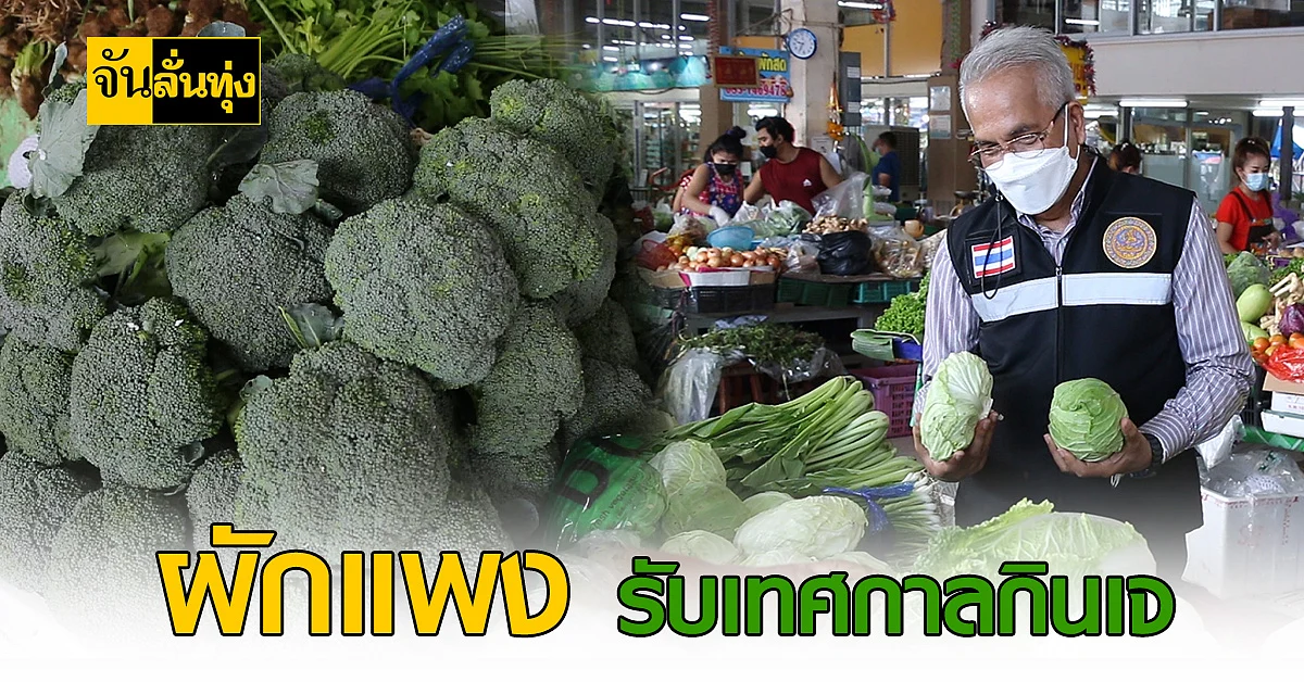 ราคาผักเริ่มแพงขึ้น ต้อนรับ เทศกาลกินเจที่กำลังจะมาถึง