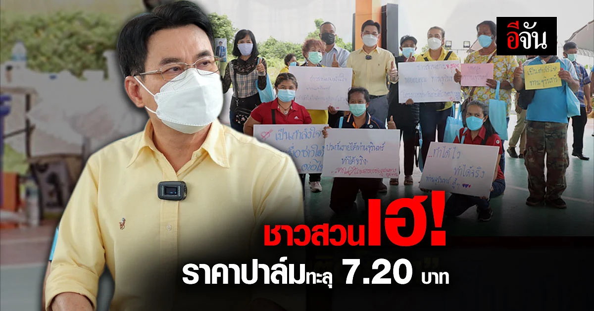 จุรินทร์ ลุยชุมพร! ช่วยพี่น้องเกษตรกร - ชาวสวน ราคาปาล์มทะลุ 7.20 บาท