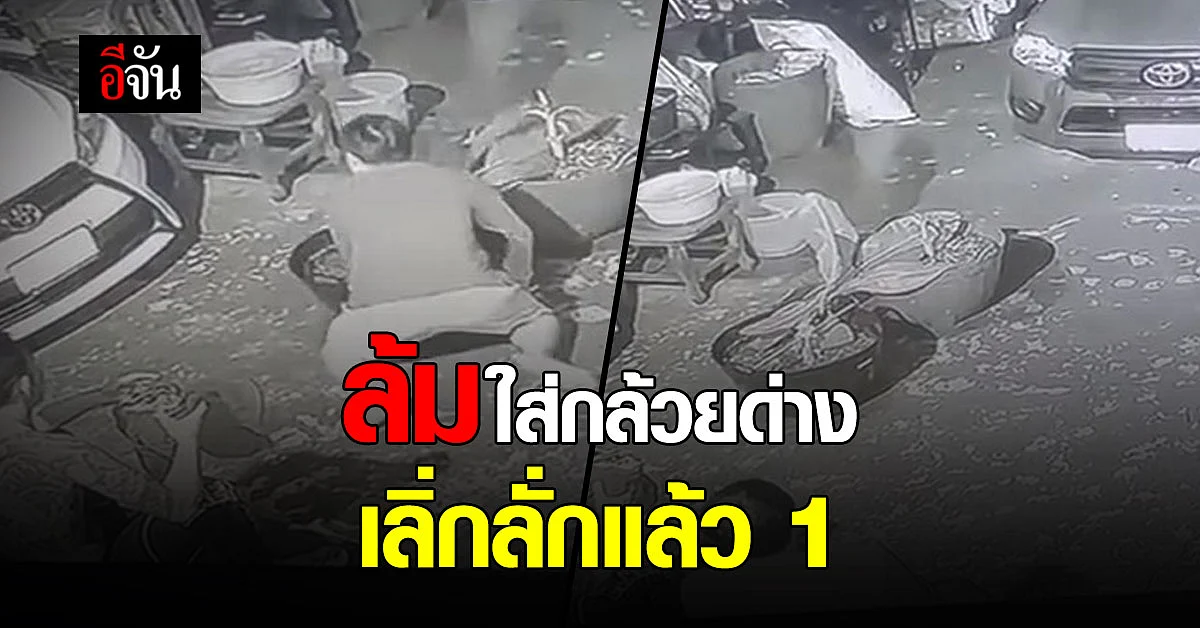 ทั้งหัวเราะ ทั้งน้ำตาไหล น้องชายล้มใส่กล้วยด่าง ราคาหลักแสน