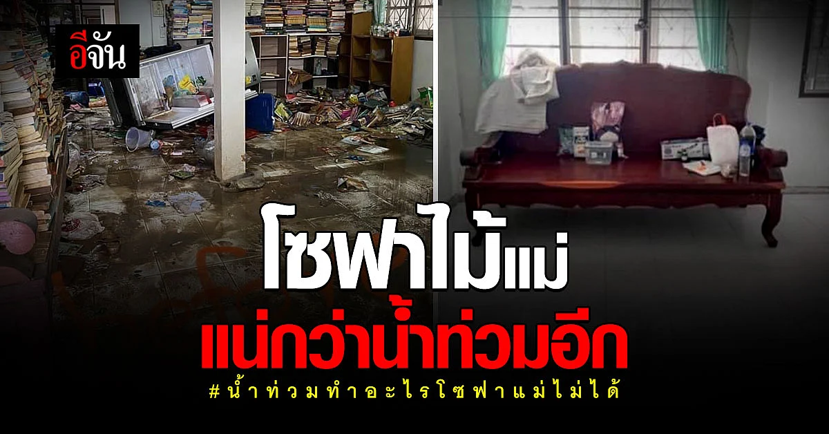 ทนสุดๆ สาวโพสต์น้ำท่วม ของเสียหาย แต่โซฟาไม้แม่ อยู่สภาพเดิม