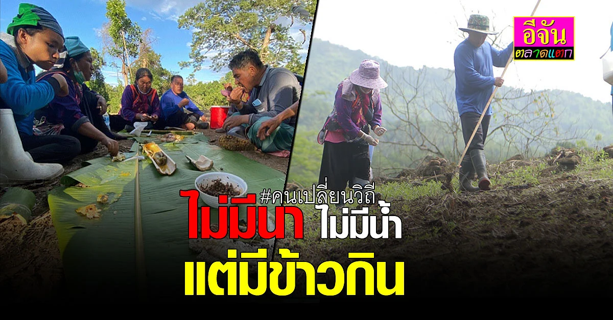 ไม่มีนาเเต่มีข้าวกิน รู้จักเผ่าลีซอ คนดอยเปลี่ยนวิถีเพื่อความอยู่รอด