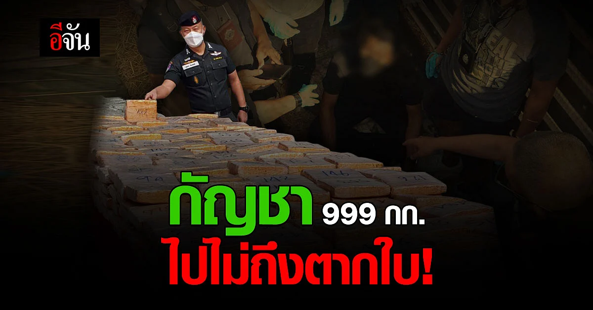 ตชด.ภ 4 จับ กัญชา ล็อตใหญ่! 999 กก. มูลค่า 50 ล้านบาท
