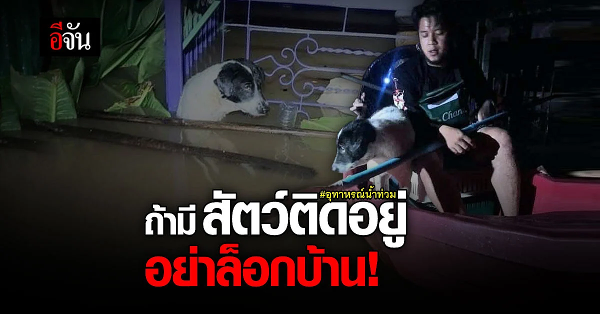 กู้ภัยชี้ ถ้ามีสัตว์อยู่ในบ้าน อย่าล็อกประตู การช่วยอาจยากขึ้น