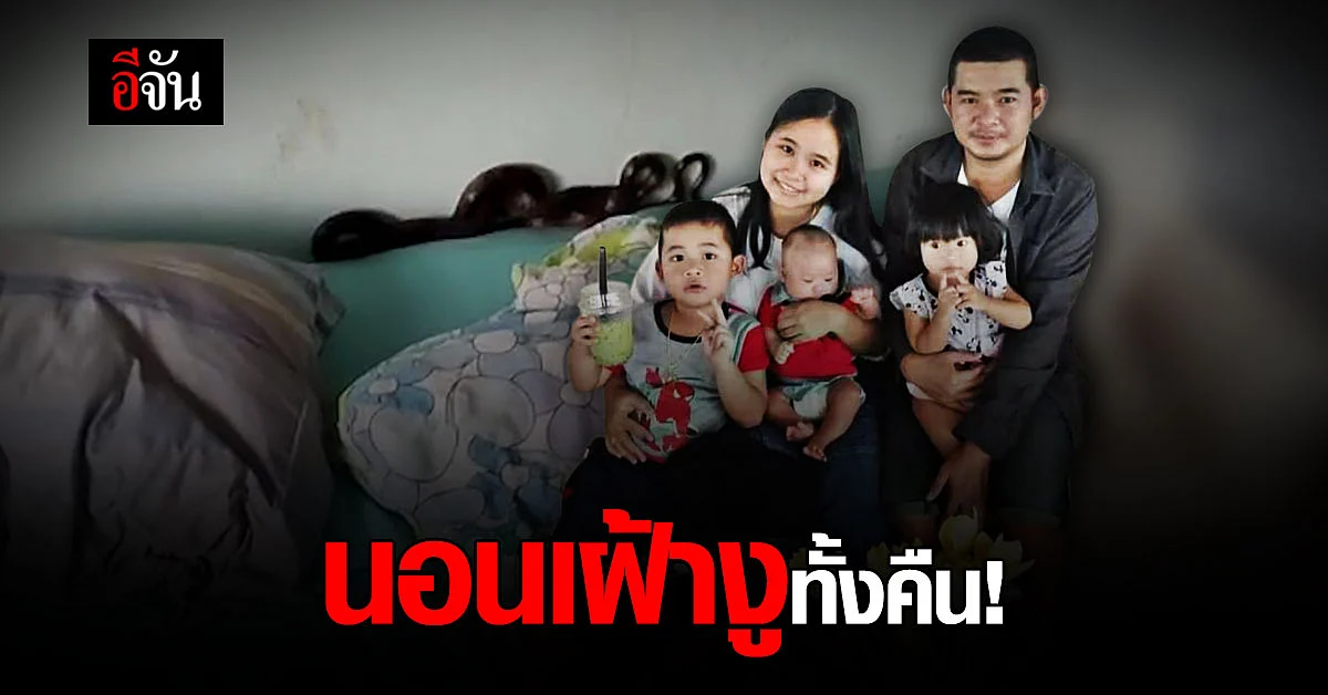 ช็อก! 5 พ่อแม่ลูกนอนเฝ้างูทั้งคืน รุ่งเช้าเจอขดใต้หมอน