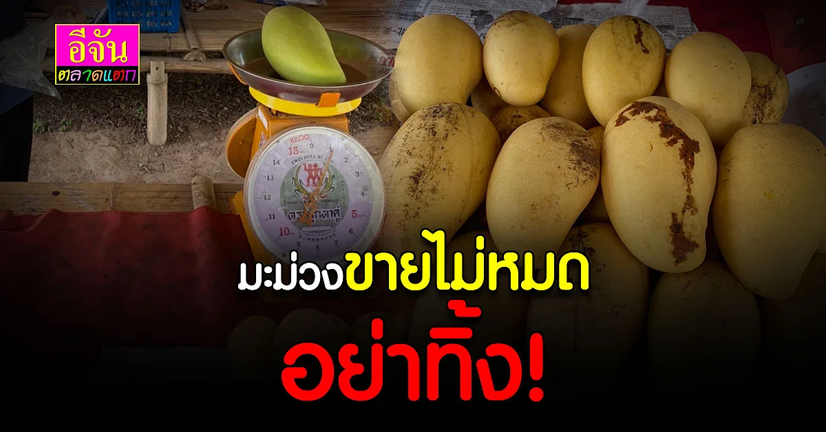 ใครๆก็ปลูก ใครๆ ก็ขาย เเต่คิดให้ต่าง สร้างตลาดให้เเหวกเเล้วปัง