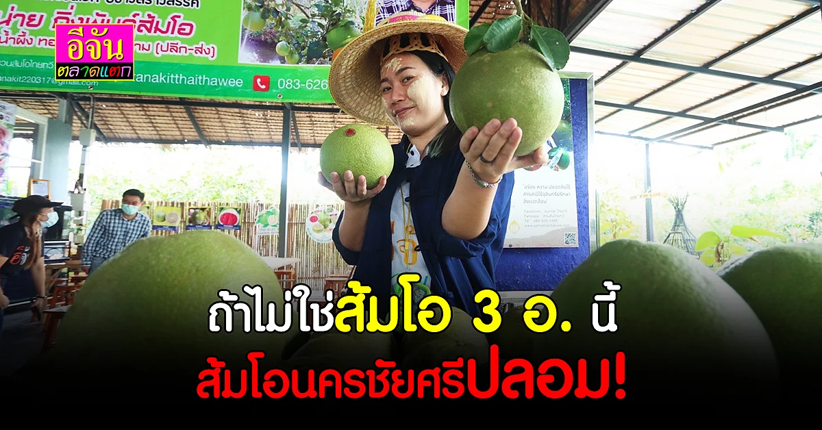 ส้มโอเหมือนกัน แต่รสชาติ และคุณภาพต่างกัน ส้มโอนครชัยศรี