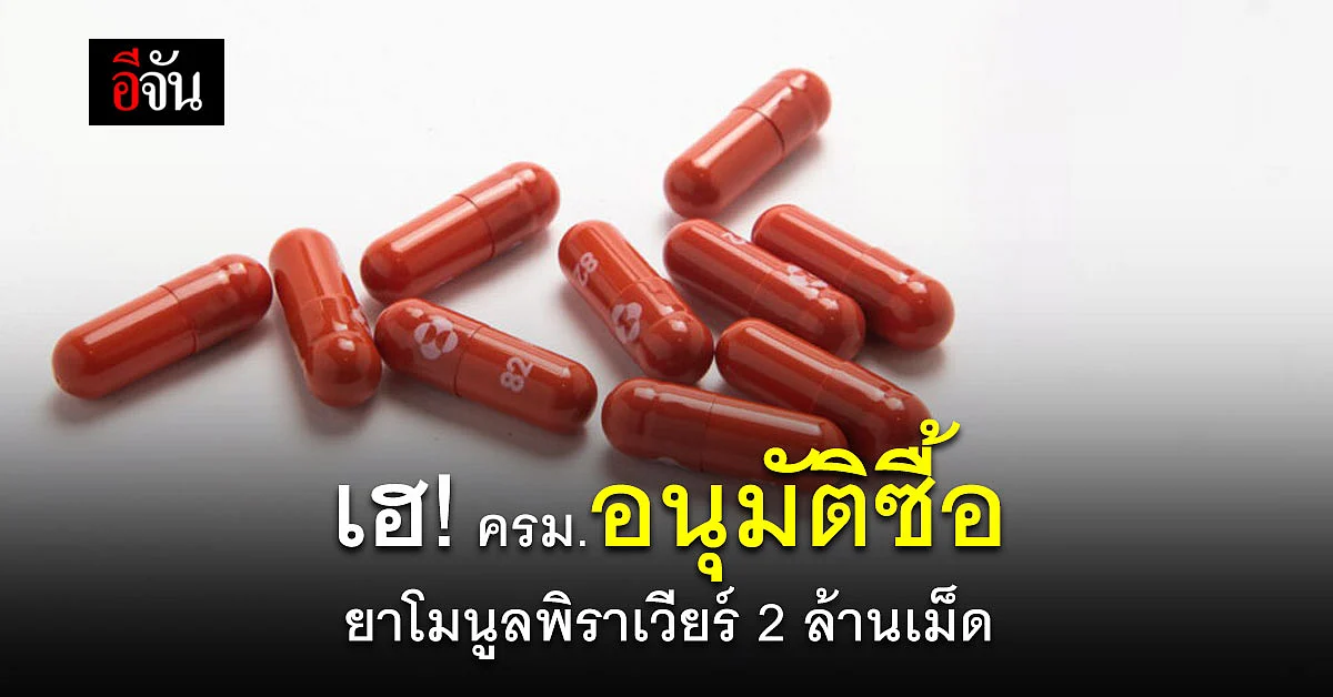 "อนุทิน" เผย ครม. อนุมัติ ซื้อ ยาโมนูลพิราเวียร์ 2 ล้านเม็ด