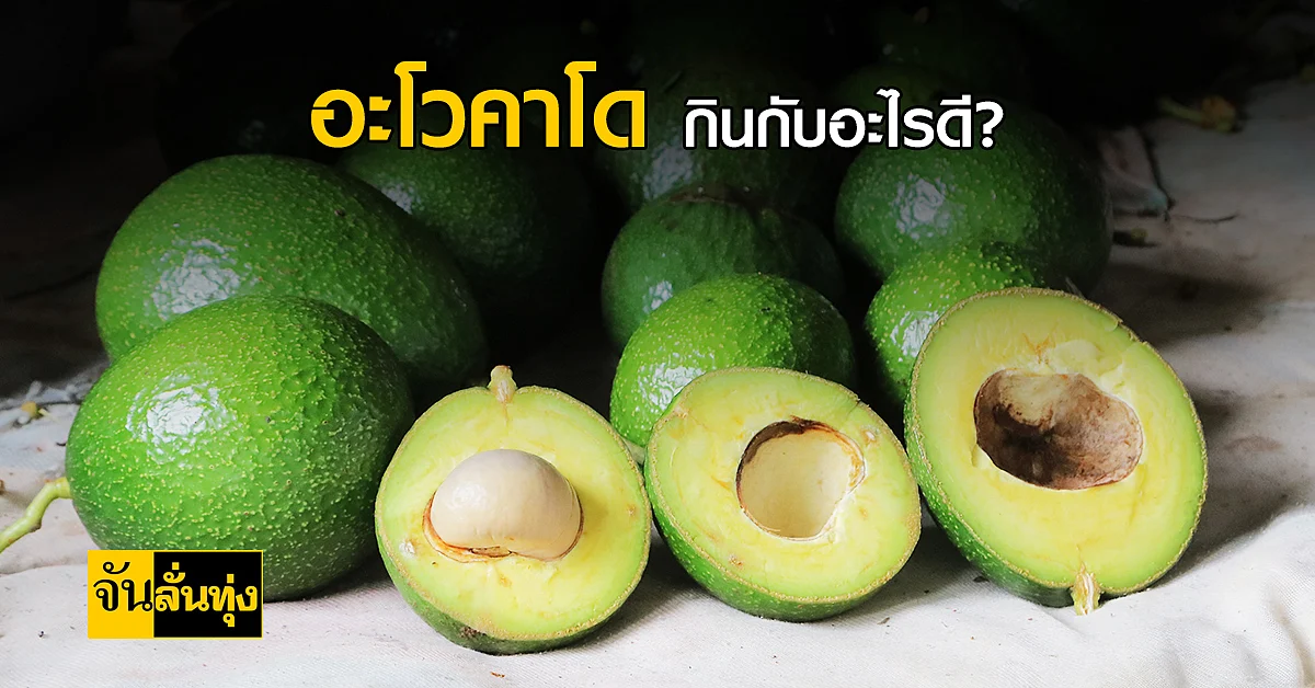 อะโวคาโดในตู้เย็น ทำอะไรได้บ้างนะ นอกจากทานเปล่าๆ