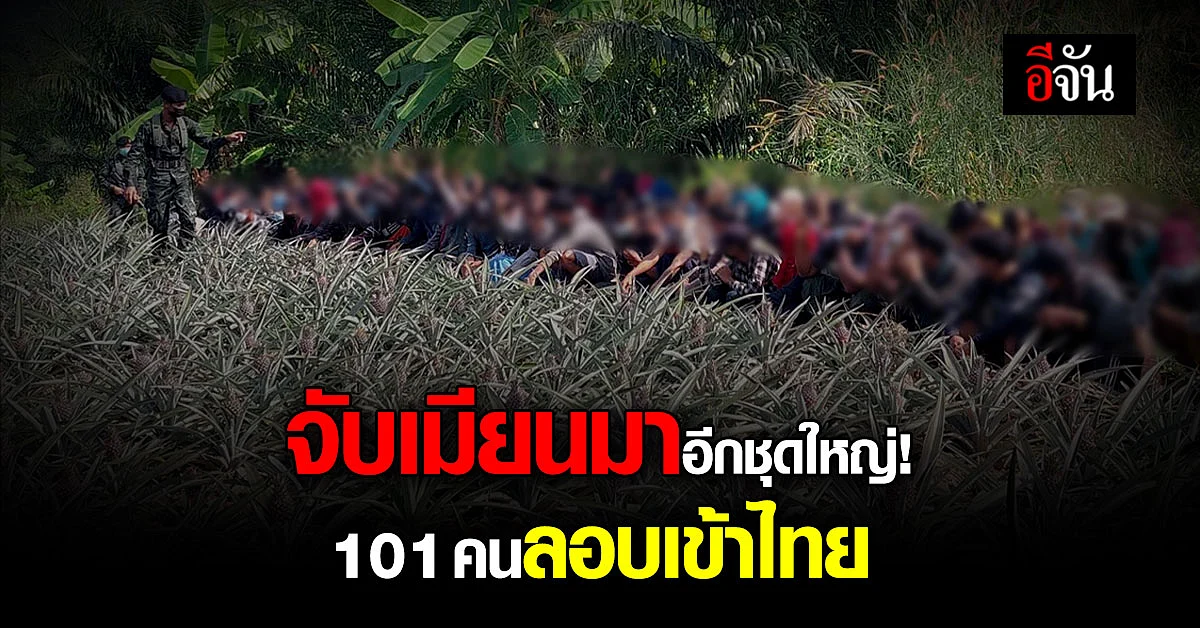 จับอีกชุดใหญ่! เมียนมา 101 คน ลอบเข้าไทยทางกาญจนบุรี